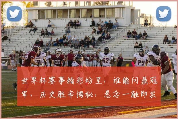 世界杯赛事精彩纷呈，谁能问鼎冠军，历史胜率揭秘，悬念一触即发