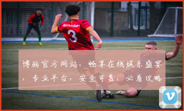 博狗官方网站，畅享在线娱乐盛宴，专业平台，安全可靠，必看攻略，体验非凡